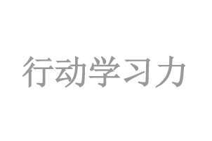 行(xíng)動學習(xí)力